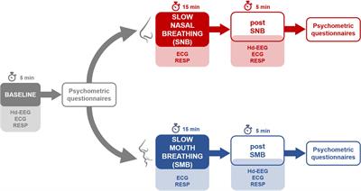 Neural Correlates of Non-ordinary States of Consciousness in Pranayama Practitioners: The Role of Slow Nasal Breathing